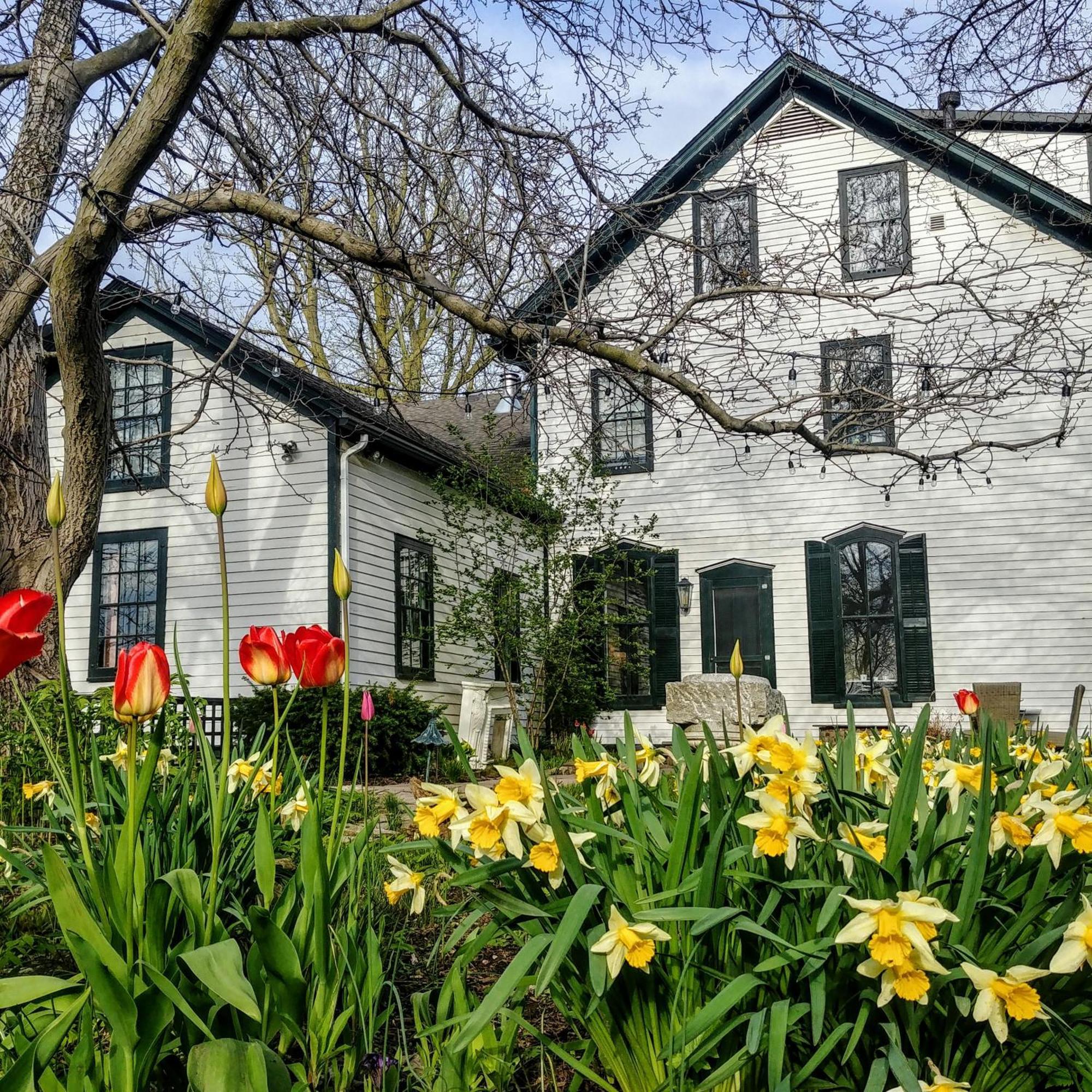 Woodbourne Inn Niagara-on-the-Lake Exterior foto